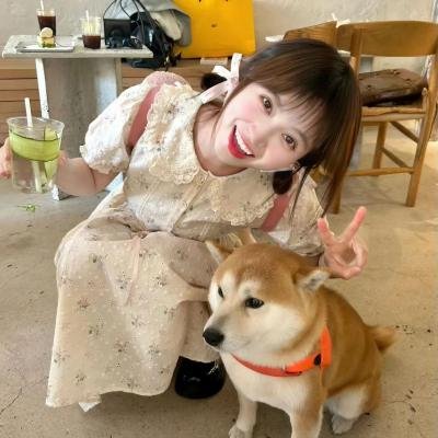 白雪皑皑